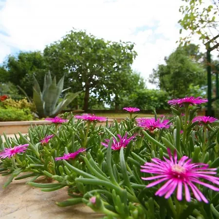 In With Balcony, Air Conditioning, Wi-fi 아파트 포레치