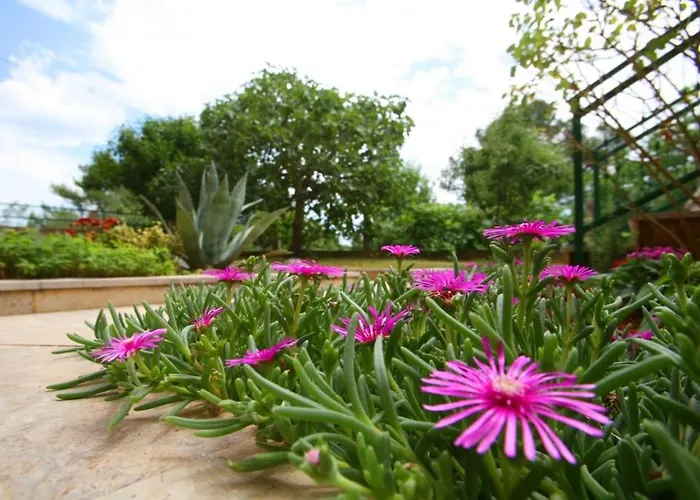 In With Balcony, Air Conditioning, Wi-fi Apartman Poreč
